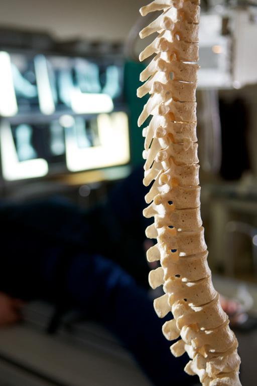 Image of Spine